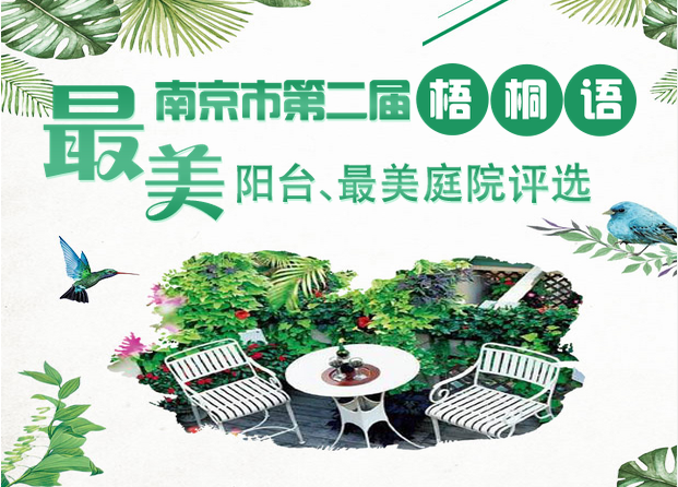 南京市第二届“梧桐语”“最美阳台、最美庭院”评选活动开始啦
